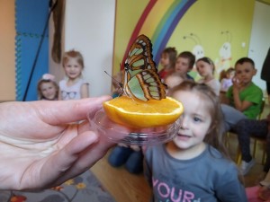 IMG_20210326_113950